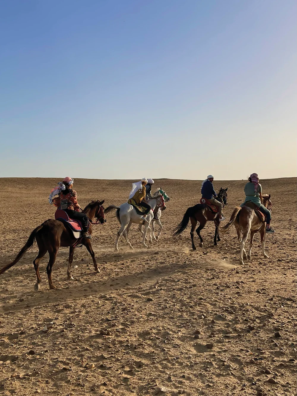 horse hok groupe