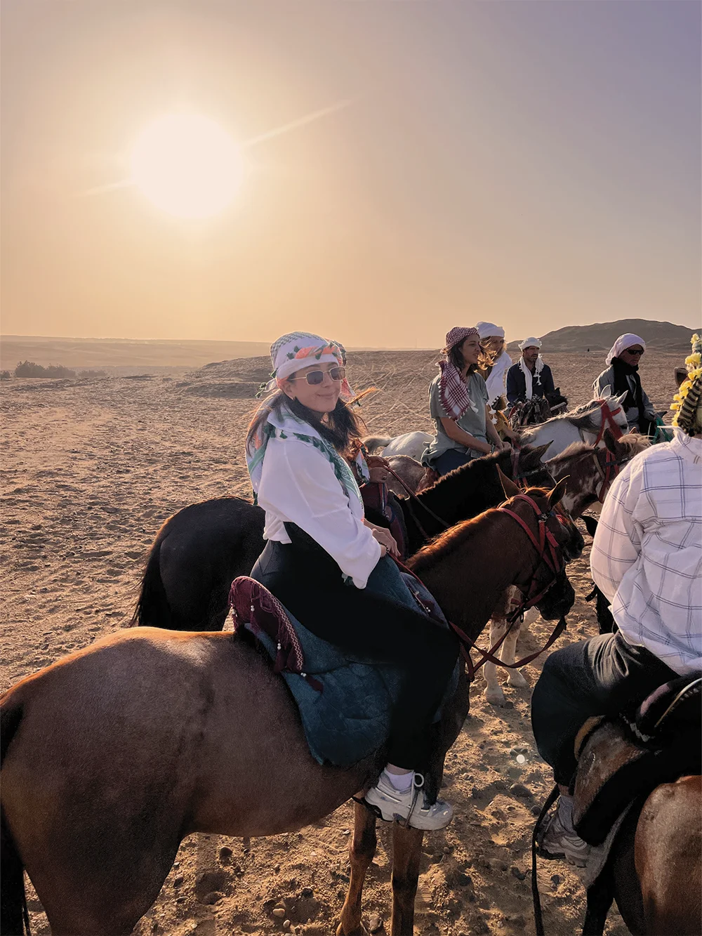 horse hok sunset1