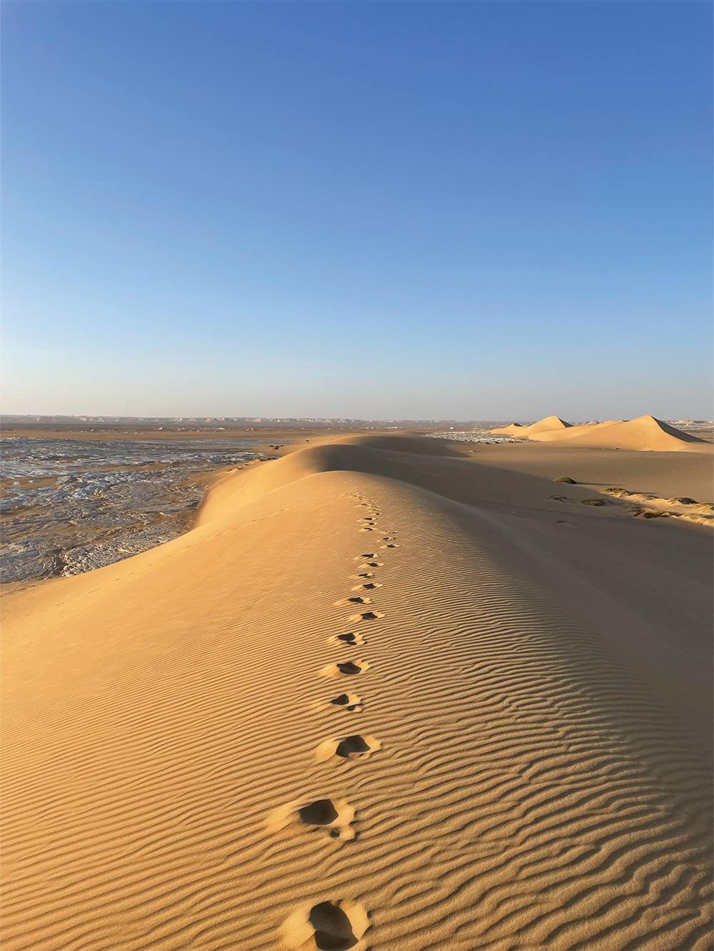Egyptian Sahara with footprints in the sand.
