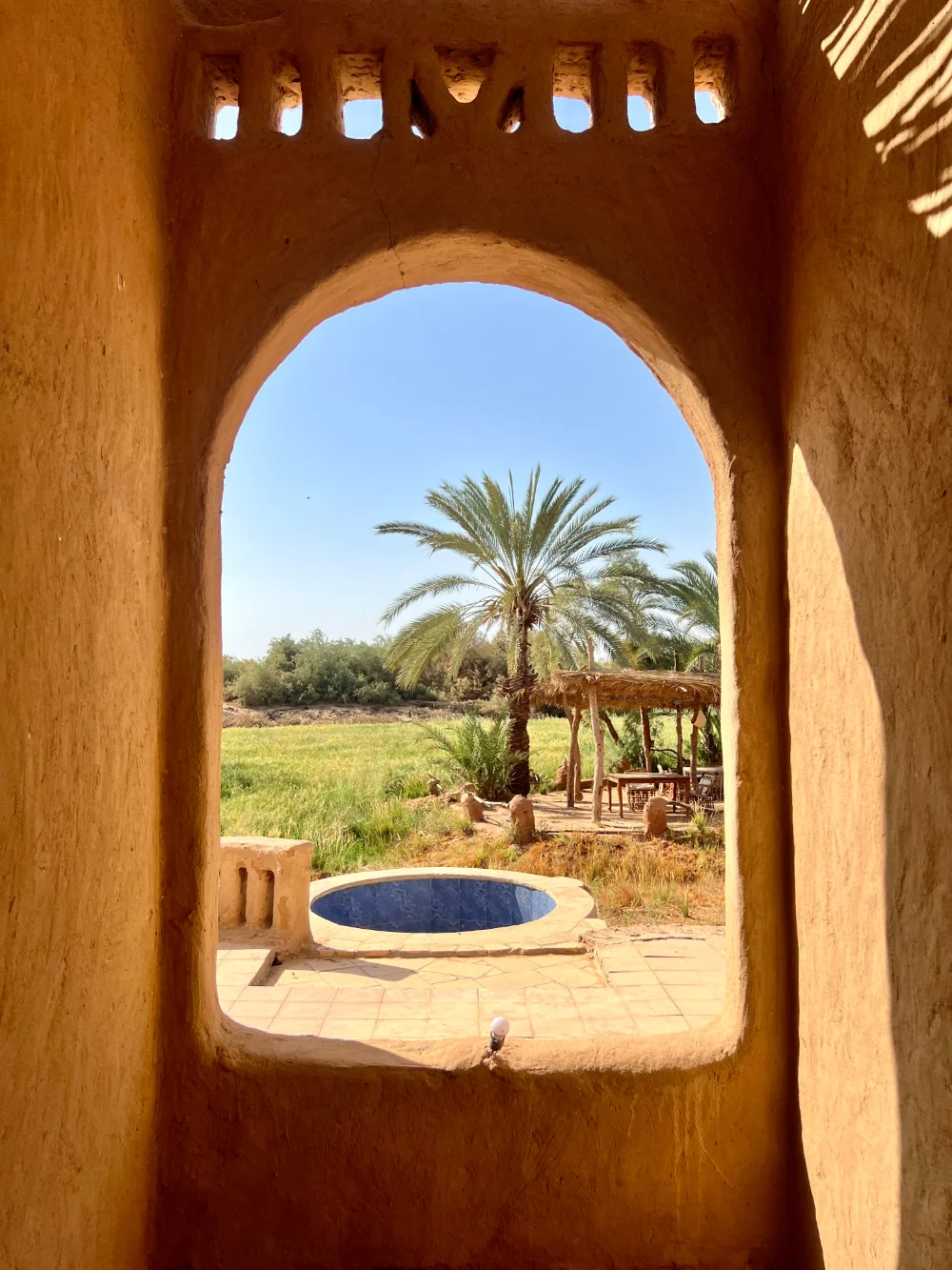 IMG_8772 (1) Al Tarfa, Dakhla Oasis.