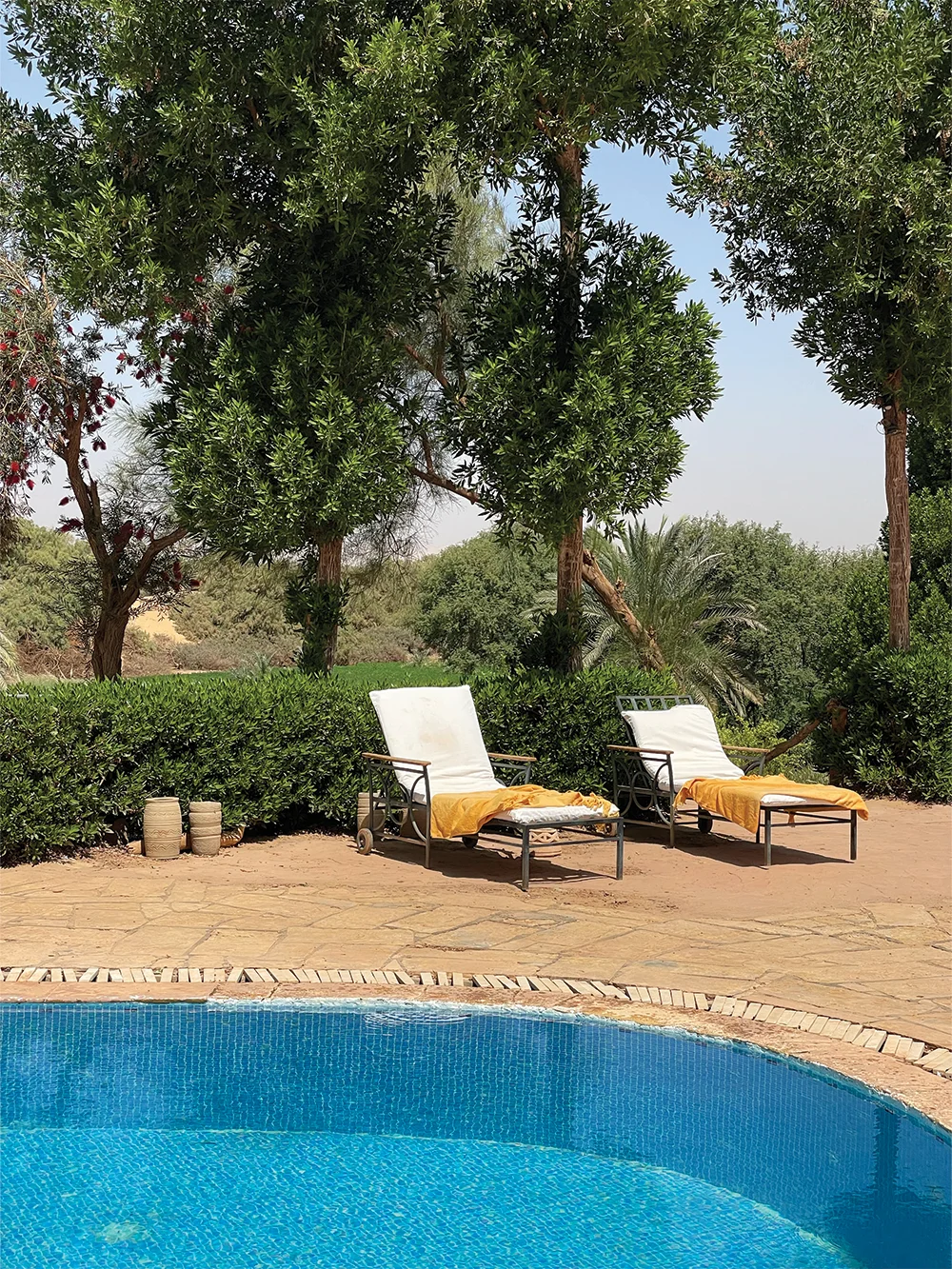 Swimming pool of the Al Tarfa's eco lodge Swimming pool of the Al Tarfa's eco lodge.